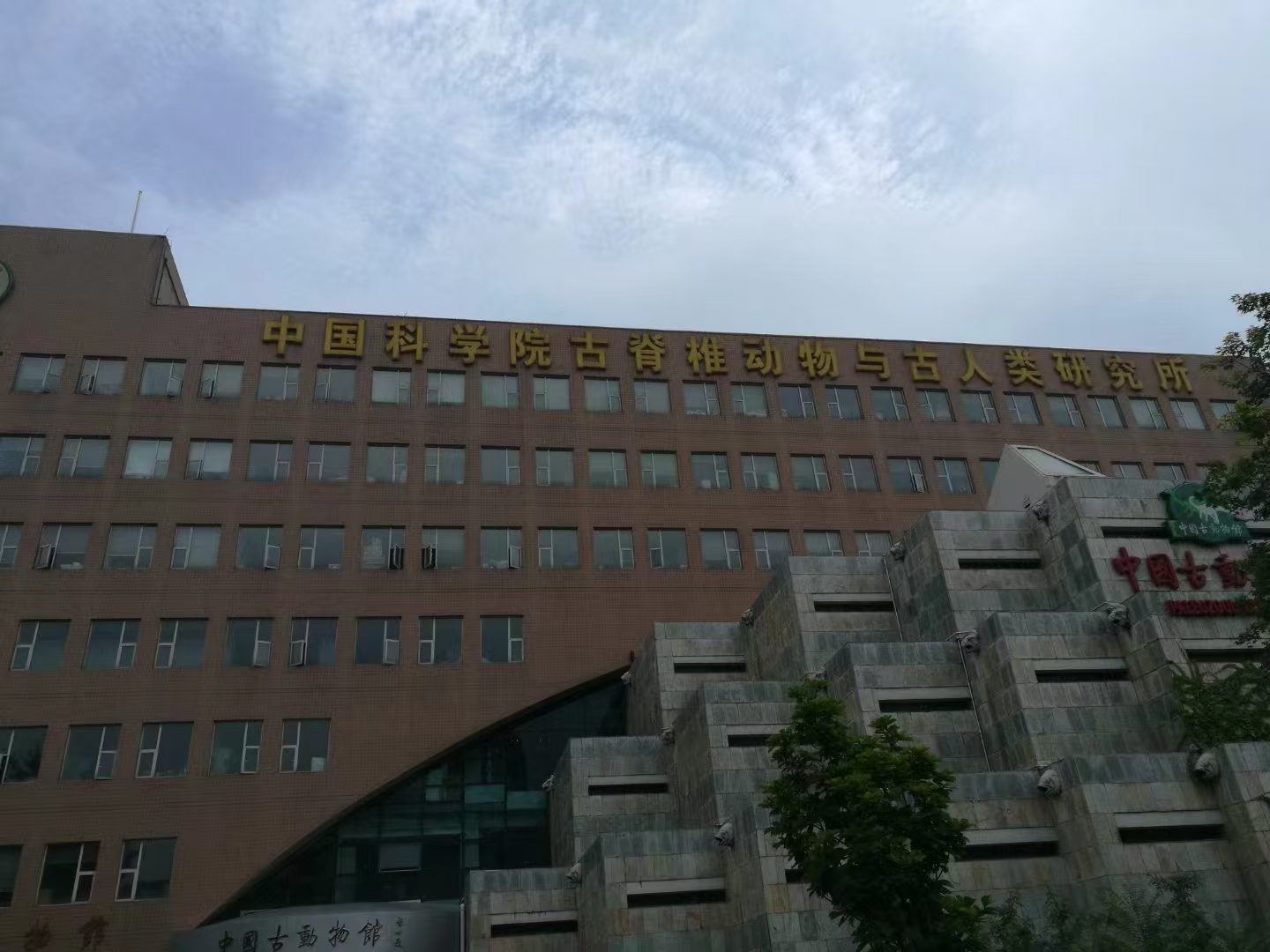权威证书